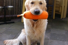 Netjes met de dummy blijven zitten.