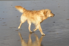Op het strand
