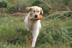 Apport 2
