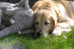 Samen met grote vriend Ollie