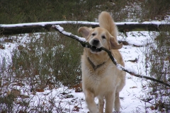 Sneeuw met Pasen!