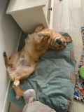 Relax