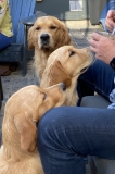 Familie uitje