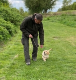 Eerste puppy jachttraining